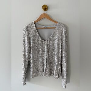 Allison Joy Silver Sequin V-Neck Long Sleeve Top